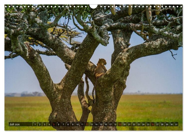 Produktbild: Abenteuer Tansania, Afrika (Wandkalender 2026 DIN A3 quer), CALVENDO Monatskalender