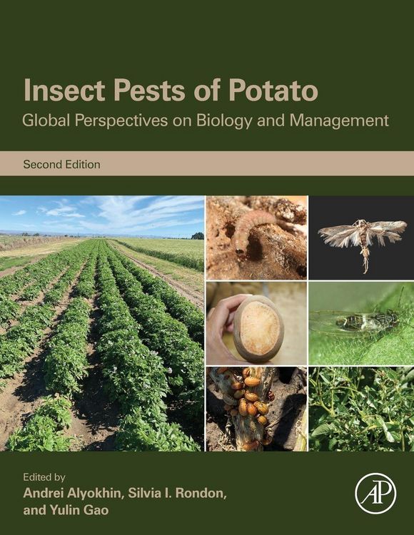 Produktbild: Insect Pests of Potato