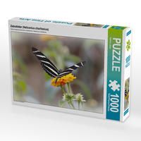 Produktbild: CALVENDO Puzzle Zebrafalter (Heliconius charitonius) 1000 Teile Lege-Gr&ouml;&szlig;e 640 x 480 cm Foto-Puzzle Bild von Sabine L&ouml;wer