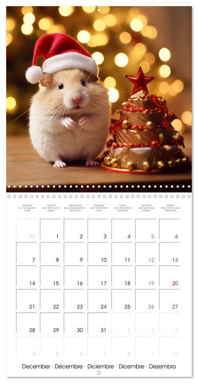 Produktbild: Sweet HAMSTERS (Wall Calendar 2026 12 &times; 12 Inch) CALVENDO 12 Month Wall Calendar