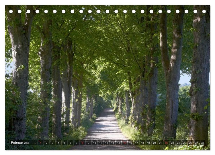 Produktbild: Naturpark Holsteinische Schweiz (Tischkalender 2026 DIN A5 quer), CALVENDO Monatskalender