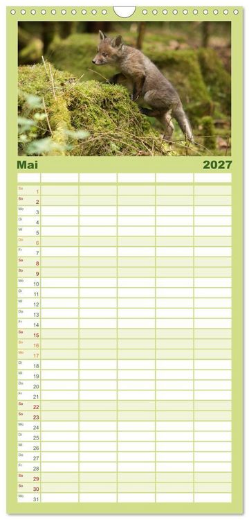 Produktbild: Familienplaner 2027 - Bei den Jungf&uuml;chsen mit 5 Spalten (Wandkalender, 21 x 45 cm) CALVENDO