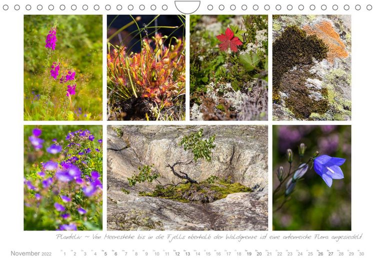 Produktbild: Sehnsucht Norwegen - Meer, Wasserf&auml;lle, Fjorde und Fjells - Der S&uuml;dwesten (Wandkalender 2022 DIN A4 quer)