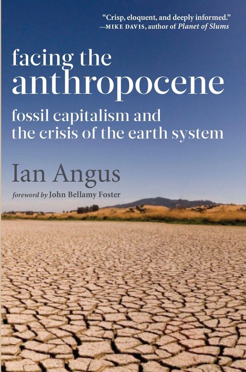 Produktbild: Facing the Anthropocene