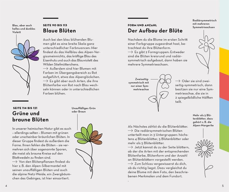 Produktbild: Basic Alpenblumen