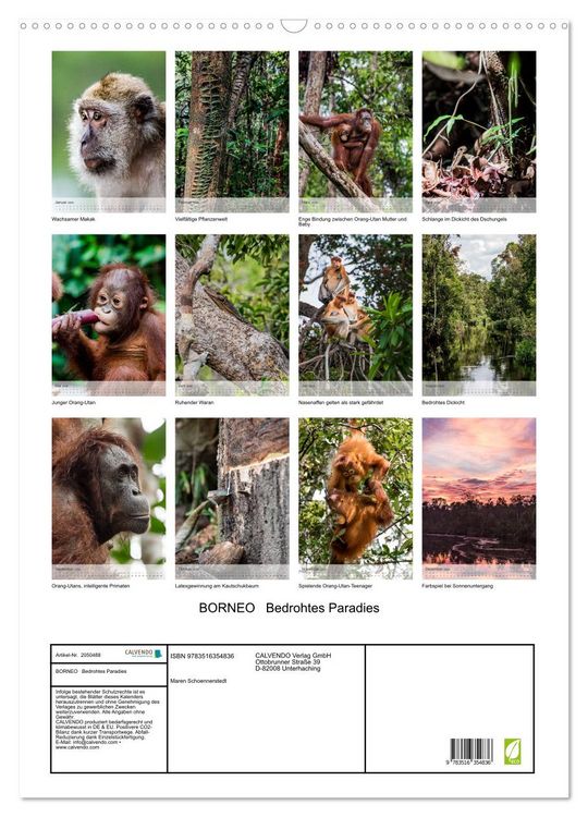 Produktbild: BORNEO Bedrohtes Paradies (Wandkalender 2026 DIN A2 hoch), CALVENDO Monatskalender