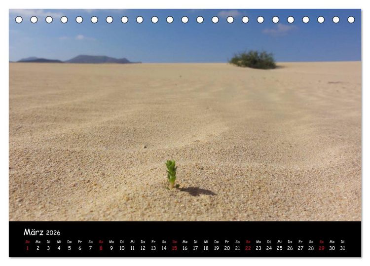 Produktbild: Fuerteventura - karge Sch&ouml;nheit (Tischkalender 2026 DIN A5 quer), CALVENDO Monatskalender