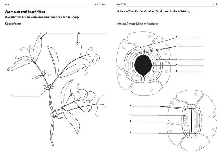 Produktbild: Botanik