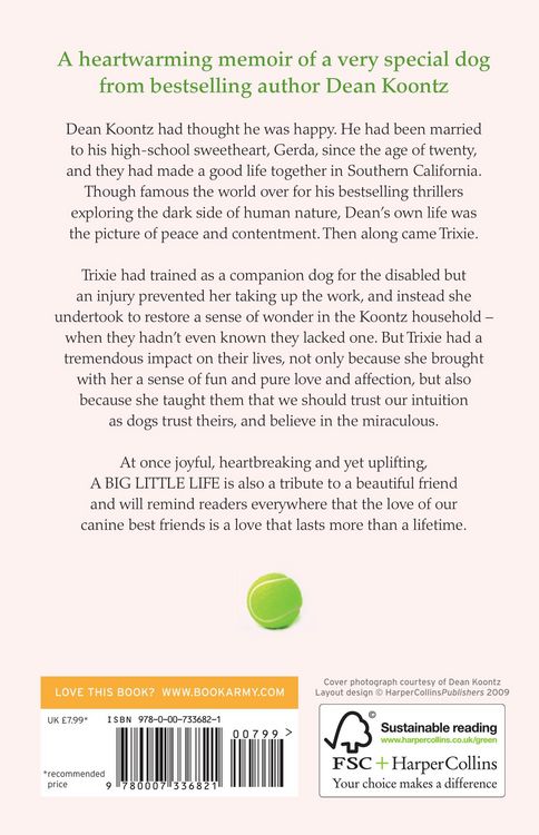 Produktbild: A Big Little Life