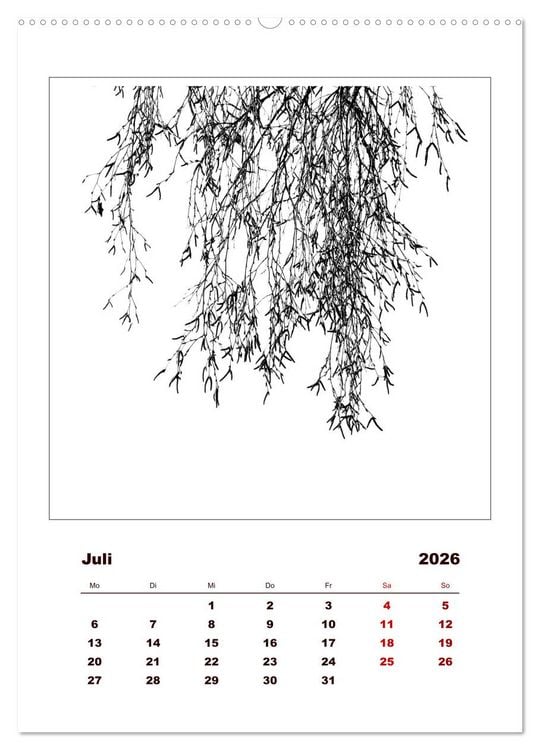 Produktbild: LignoGrafica - Muster und Strukturen der B&auml;ume (Wandkalender 2026 DIN A2 hoch), CALVENDO Monatskalender