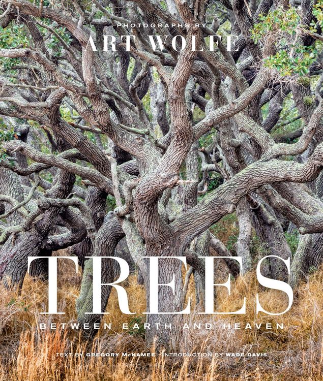 Produktbild: Trees (Gift Edition)