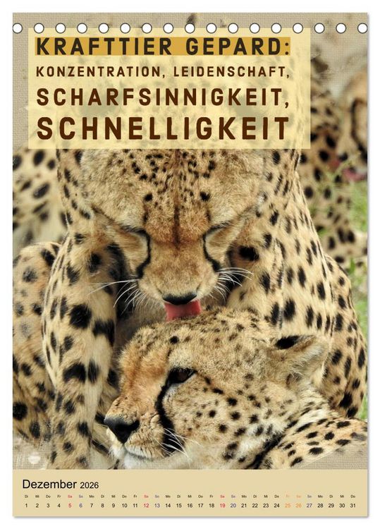 Produktbild: Afrikanische Krafttiere und deren Bedeutung (Tischkalender 2026 DIN A5 hoch), CALVENDO Monatskalender