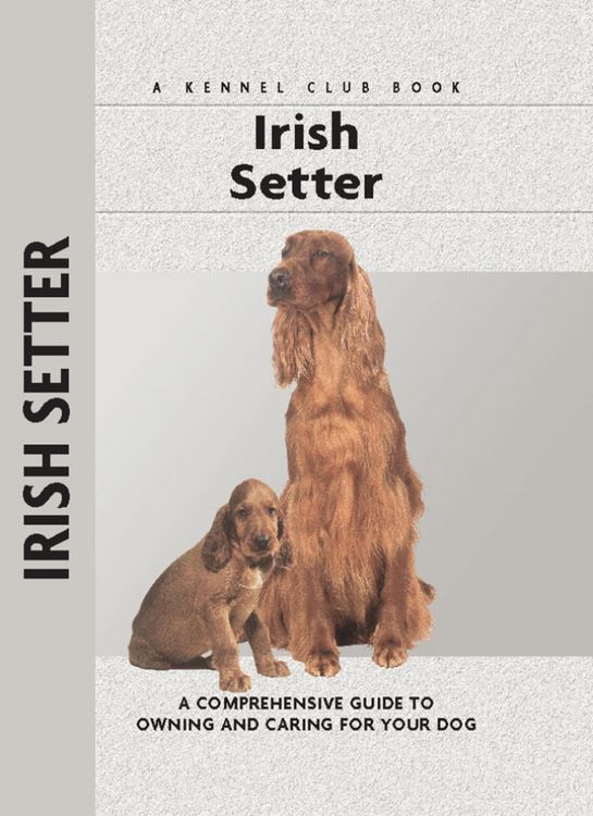 Produktbild: Irish Setter