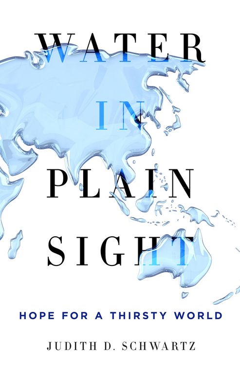 Produktbild: Schwartz, J: Water in Plain Sight