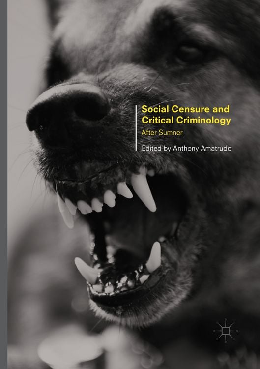 Produktbild: Social Censure and Critical Criminology