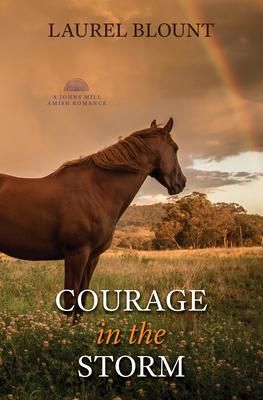 Produktbild: Courage in the Storm