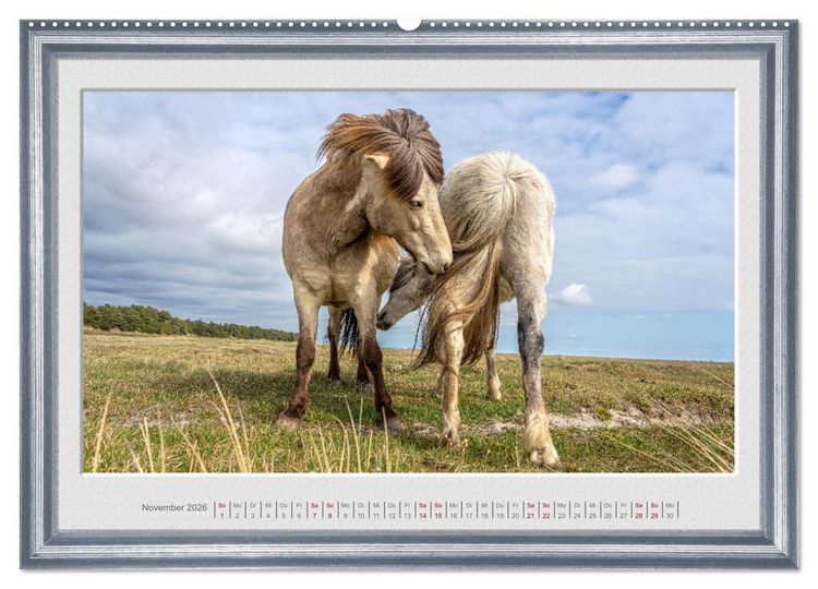 Produktbild: Ich bin ein Isl&auml;nder (hochwertiger Premium Wandkalender 2026 DIN A2 quer), Kunstdruck in Hochglanz