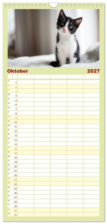 Produktbild: Familienplaner 2027 - Kitten auf Entdeckungsreise mit 5 Spalten (Wandkalender, 21 x 45 cm) CALVENDO