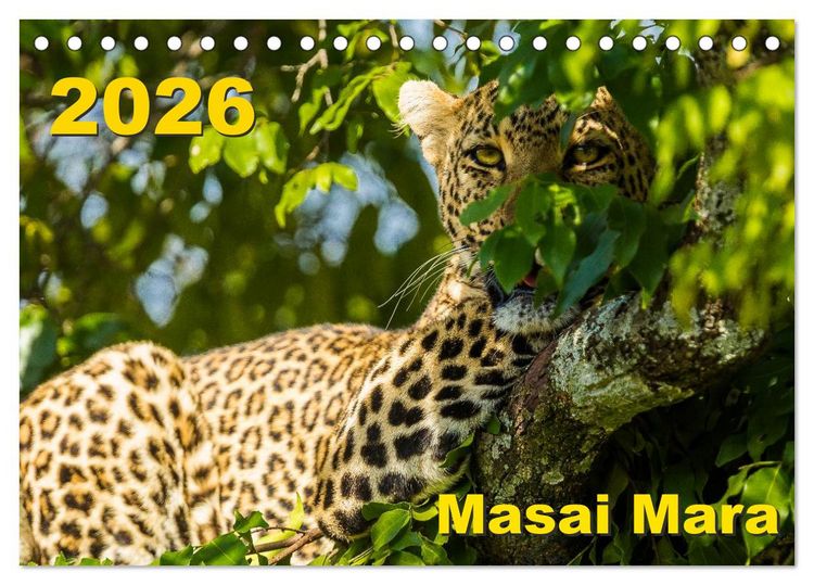 Produktbild: Masai Mara 2026 (Tischkalender 2026 DIN A5 quer), CALVENDO Monatskalender