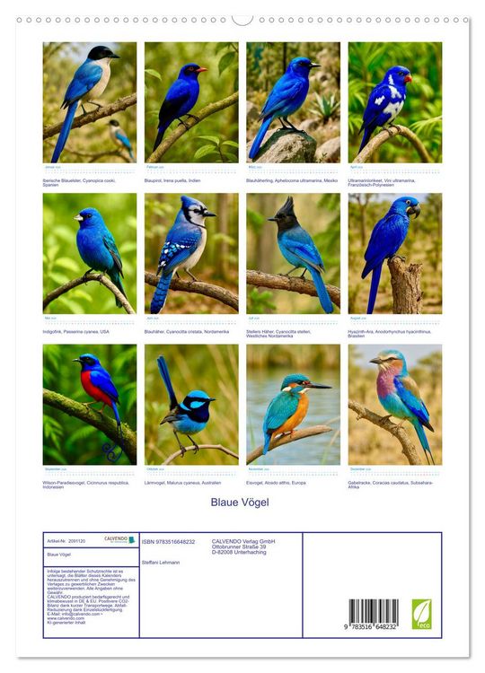 Produktbild: Blaue V&ouml;gel (hochwertiger Premium Wandkalender 2026 DIN A2 hoch), Kunstdruck in Hochglanz