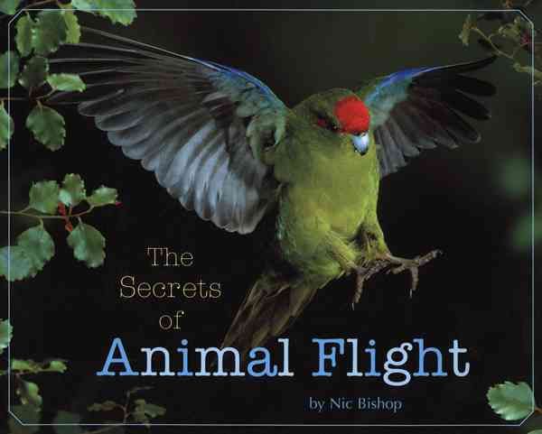 Produktbild: The Secrets of Animal Flight