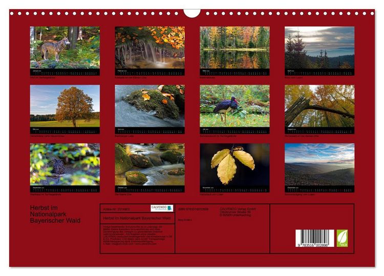 Produktbild: Herbst im Nationalpark Bayerischer Wald (Wandkalender 2026 DIN A3 quer), CALVENDO Monatskalender