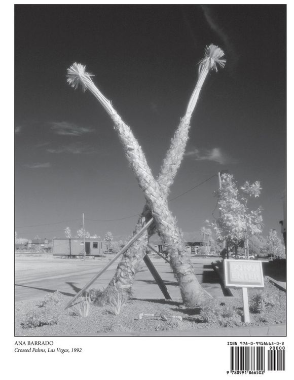 Produktbild: The JG Ballard Book