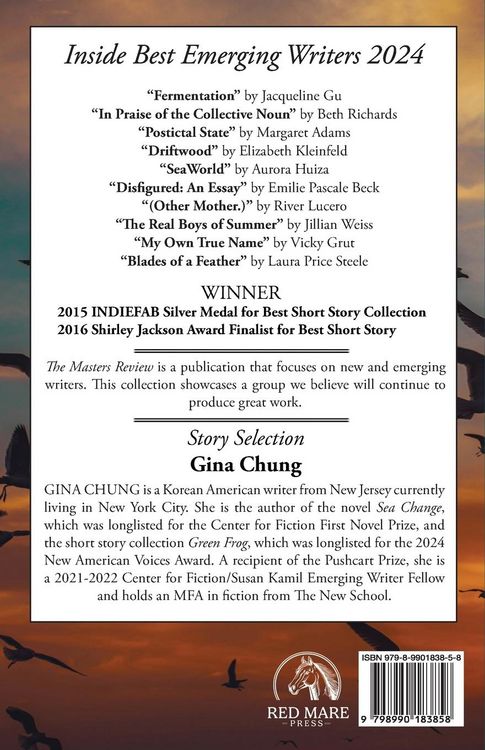 Produktbild: The Masters Review Best Emerging Writers 2024