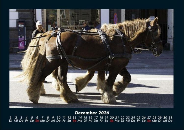 Produktbild: Die Welt der Pferde 2026 Fotokalender DIN A4