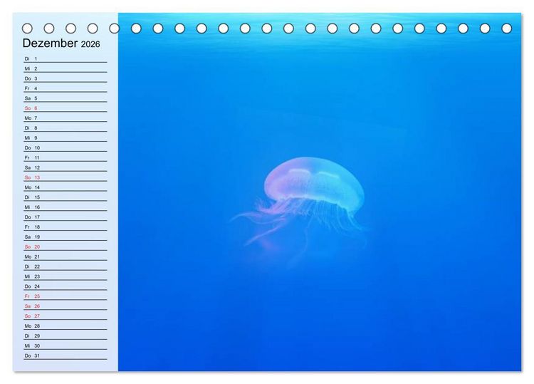 Produktbild: Quallen. Die Welt der Medusen (Tischkalender 2026 DIN A5 quer), CALVENDO Monatskalender