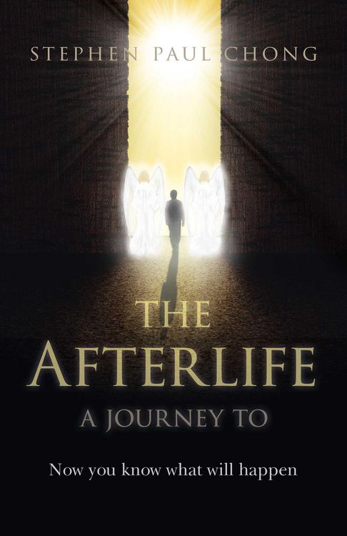 Produktbild: Afterlife - A Journey to