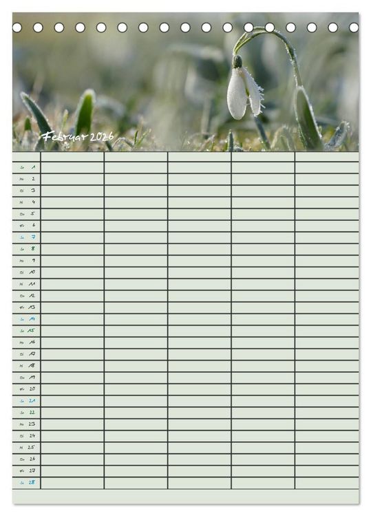 Produktbild: Kleine Natursch&ouml;nheiten (Tischkalender 2026 DIN A5 hoch), CALVENDO Monatskalender