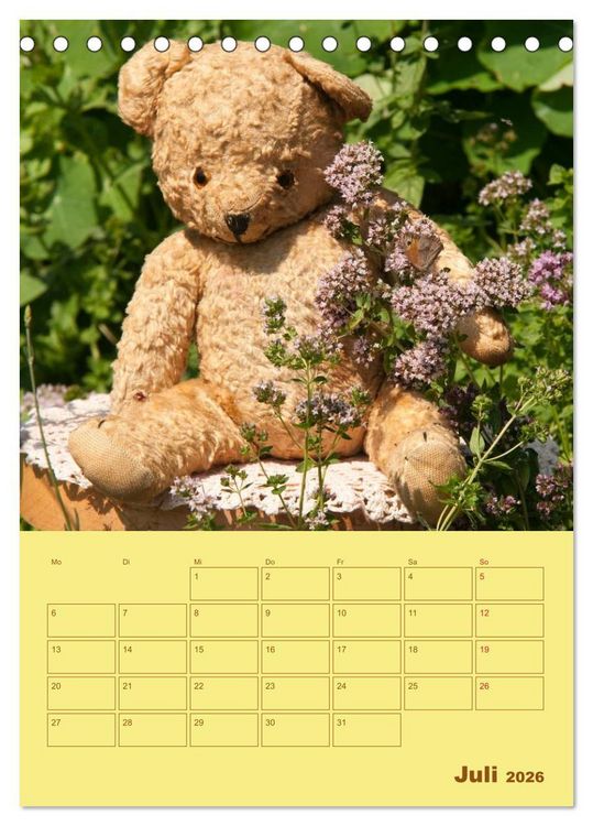 Produktbild: B&auml;renstarker Planer f&uuml;r das Jahr &ndash; Teddys (Tischkalender 2026 DIN A5 hoch), CALVENDO Monatskalender