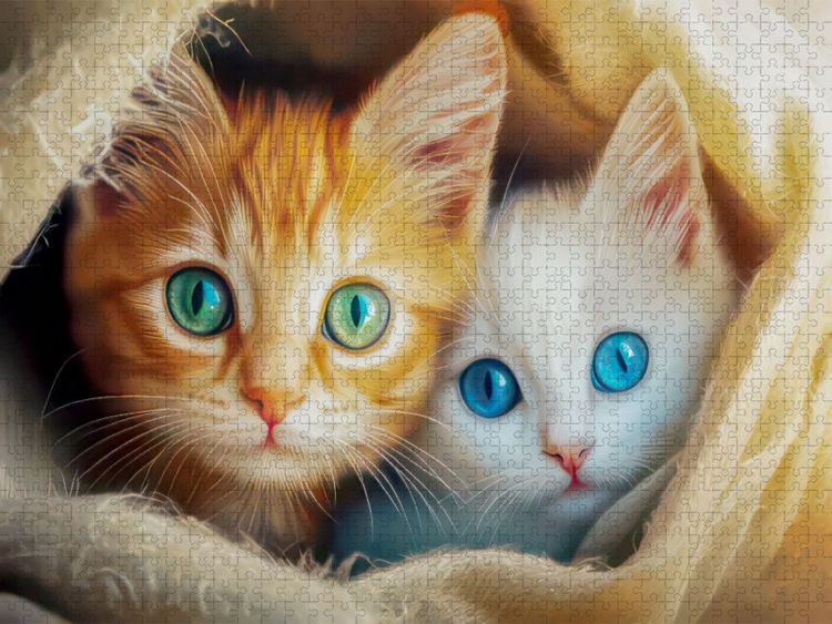 Produktbild: CALVENDO Puzzle Katzen Illustrationen | 1000 Teile Lege-Gr&ouml;&szlig;e 64x48cm Foto-Puzzle f&uuml;r gl&uuml;ckliche Stunden