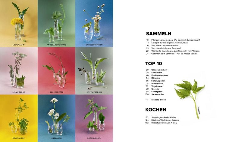 Produktbild: Wildkr&auml;uter Top 10