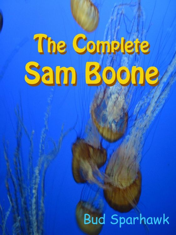 Produktbild: Complete Sam Boone