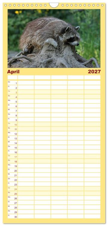 Produktbild: Familienplaner 2027 - Waschb&auml;ren mit 5 Spalten (Wandkalender, 21 x 45 cm) CALVENDO