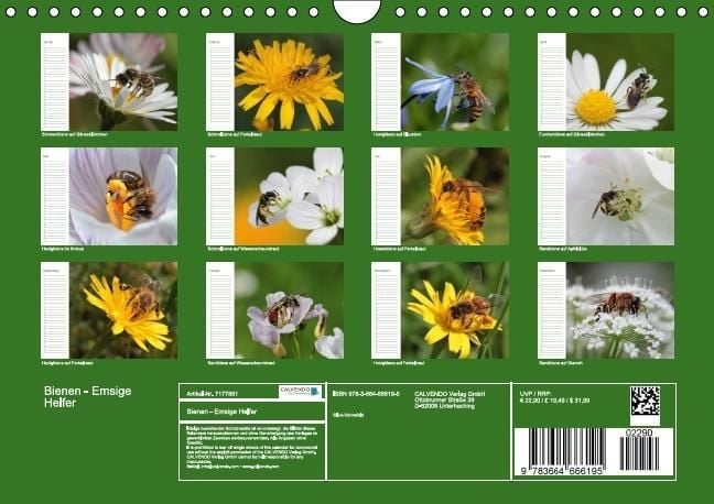 Produktbild: Bienen - Emsige Helfer (Wandkalender immerw&auml;hrend DIN A4 quer)