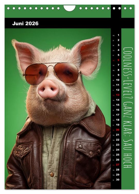 Produktbild: Coole Sau - Lustiger Spr&uuml;che Kalender mit witzigen Schweinchen (Wandkalender 2026 DIN A4 hoch), CALVENDO Monatskalender