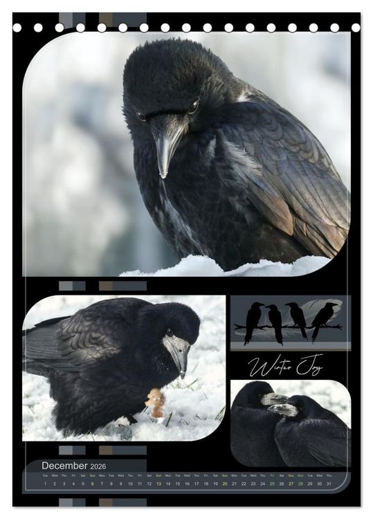 Produktbild: Crows - Through the Seasons (Desk Calendar 2026 DIN A5 portrait), CALVENDO 12 Month DeskCalendar