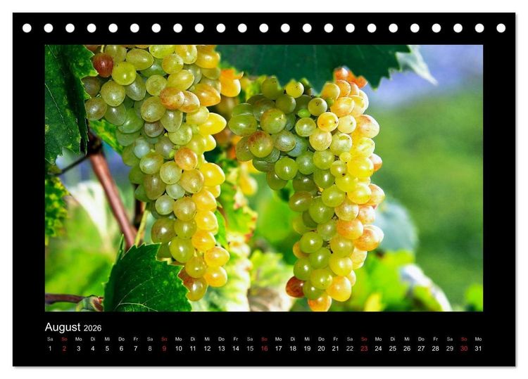 Produktbild: Wein - Reben, Wingerte und historische Weinkeller (Tischkalender 2026 DIN A5 quer), CALVENDO Monatskalender