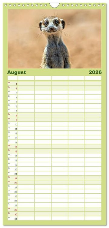 Produktbild: Familienplaner 2026 - Afrikas Tierwelt - Erdm&auml;nnchen mit 5 Spalten (Wandkalender, 21 x 45 cm) CALVENDO