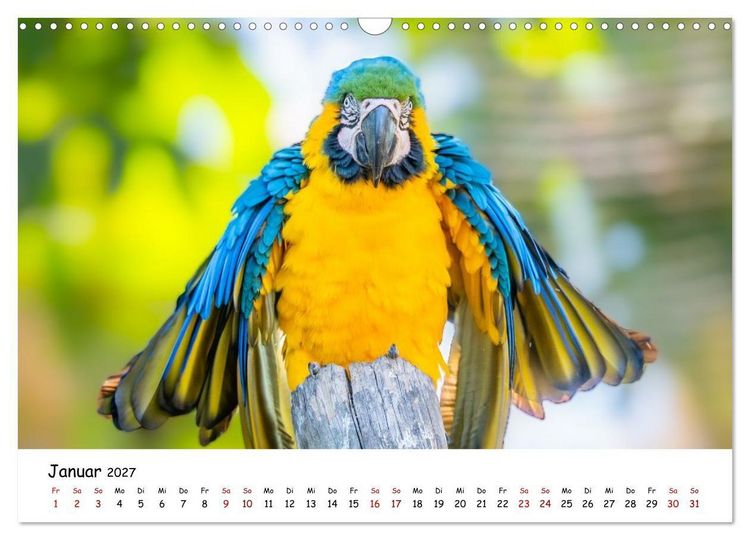 Produktbild: Aras und bunte Sittiche: Exotische Papageien-Portr&auml;ts (Wandkalender 2027 DIN A3 quer), CALVENDO Monatskalender