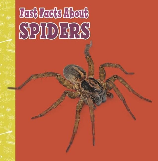 Produktbild: Fast Facts About Spiders