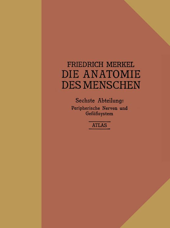 Produktbild: Atlas zu Peripherische Nerven und Gef&auml;&szlig;system