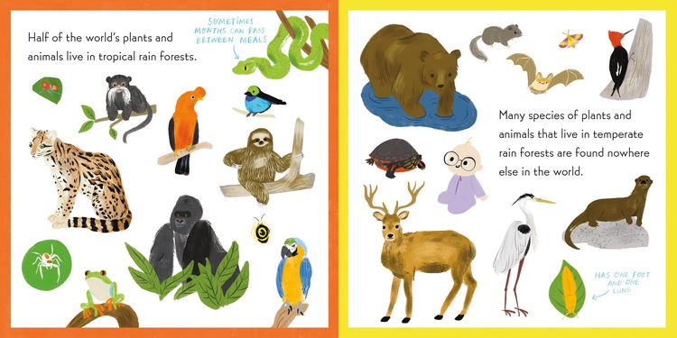 Produktbild: Nerdy Babies: Rain Forests