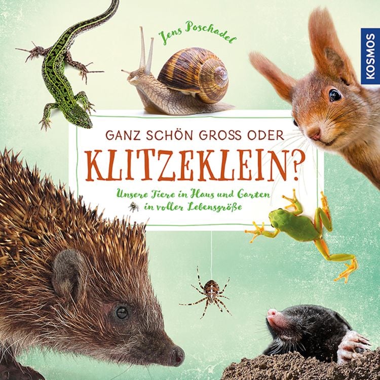 Produktbild: Ganz sch&ouml;n gro&szlig; oder klitzeklein?