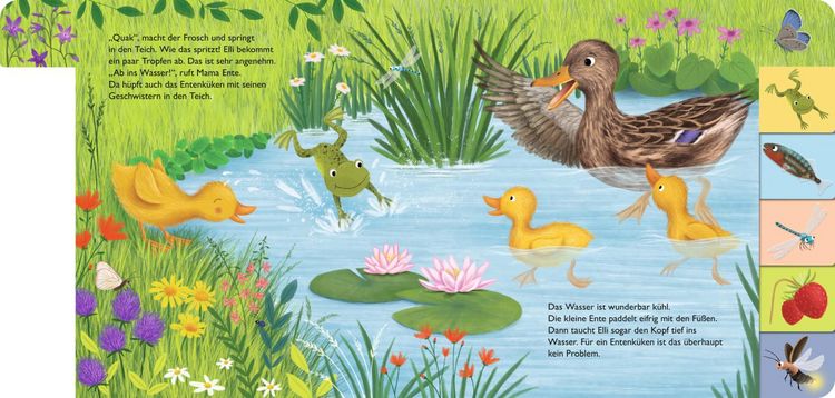 Produktbild: Mein erstes Jahreszeitenbuch: Elli, die kleine Ente
