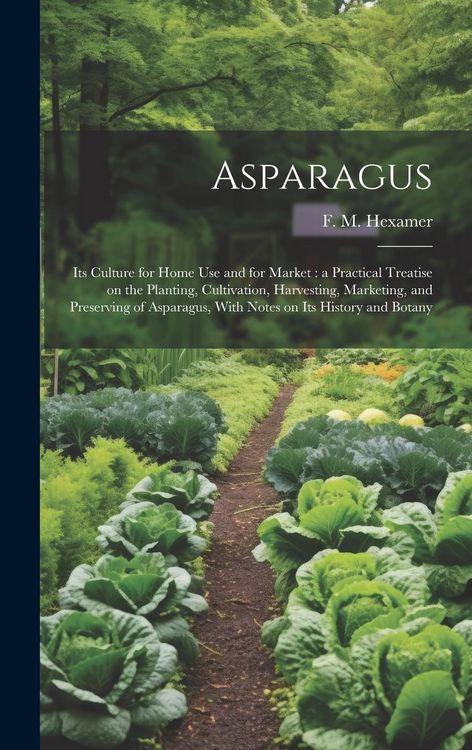 Produktbild: Asparagus: Its Culture for Home use and for Market: a Practical Treatise on the Planting, Cultivation, Harvesting, Marketing, and