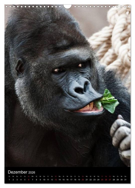 Produktbild: Gorillas (Wandkalender 2026 DIN A3 hoch), CALVENDO Monatskalender